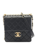 Chanel Pre Owned 2019 Quilted Chain Strap Shoulder Bag