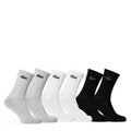 Lacoste 6 Pack Crew Trainer Socks